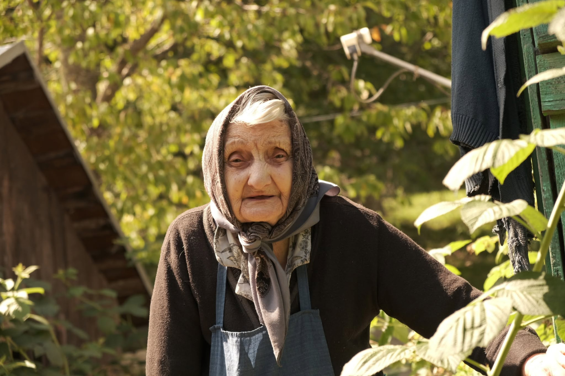 Femeie vârstnică cu basma, în grădina casei sale
